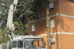 Gestione del verde