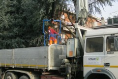Gestione del verde