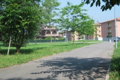 Gestione del verde