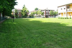 Gestione del verde