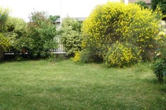 Gestione del verde
