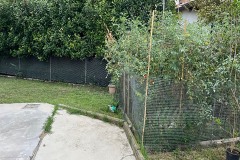 Pavimentazione in cemento