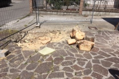 Sartoria Messori - Riqualificazione spazi esterni