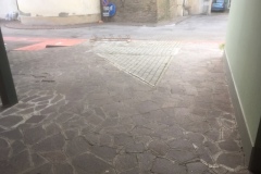 PARK-PRIMA-4