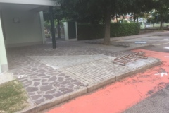 PARK-PRIMA-1