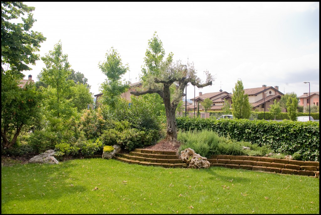 servizio di progettazione e realizzazione di aree a verde Servizio di progettazione e realizzazione di aree a verde